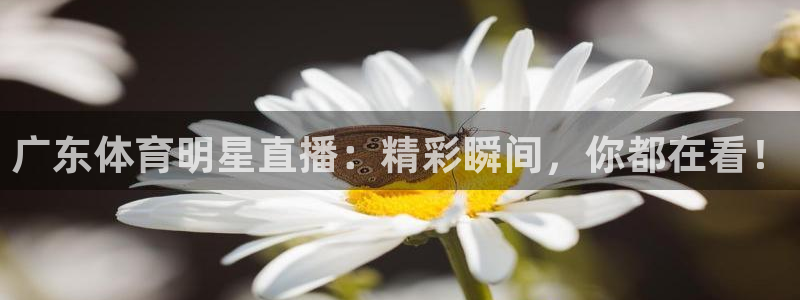 833篮球直播比赛在线观看：广东体育明星直播：精彩瞬间，你都在看！