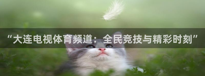 833直播免费体育直播下载：“大连电视体育频道：全民竞技与精彩时刻”