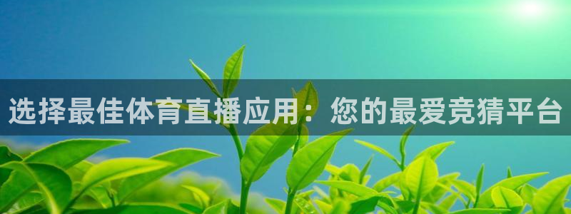 833足球直播：选择最佳体育直播应用：您的最爱竞猜平台